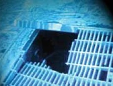 游泳池落水頭吸陷（真空釋放器）